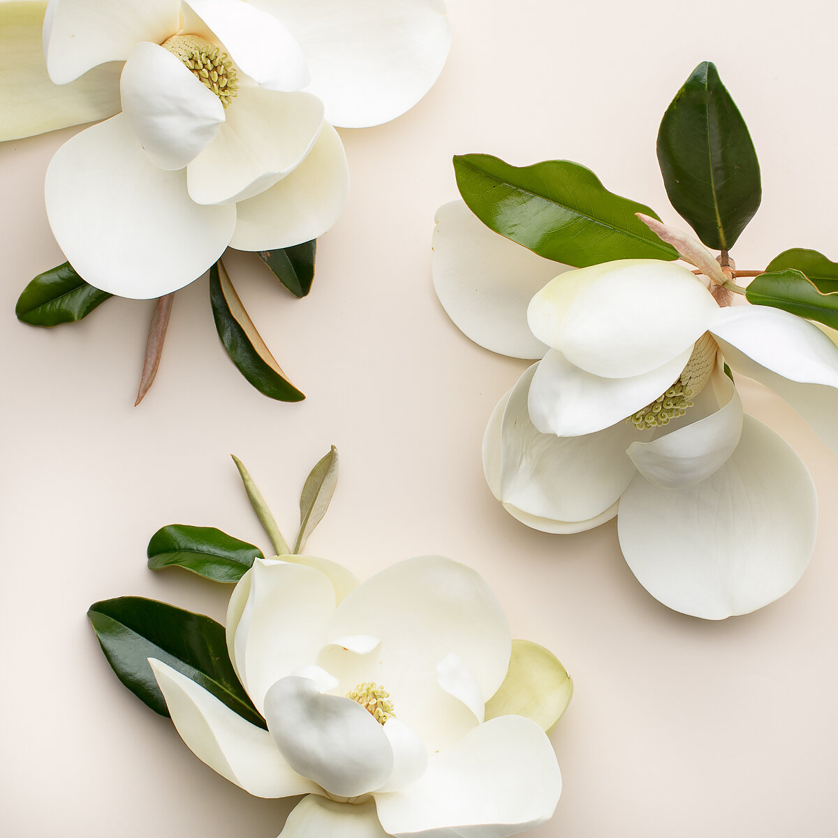 Eco Friendly Wedding Trends!. Desktop Image